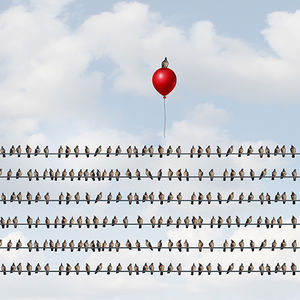 Zeki olduğumuzu nasıl anlarız?