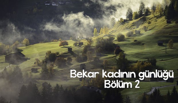 Bekar kadının günlüğü – 2