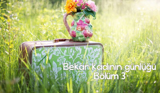 Bekar Kadının Günlüğü - 3