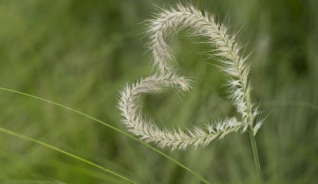 Platonik aşk nedir?