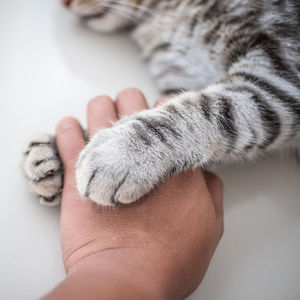 Anne olmak, farkındalık ve birkaç parça ekmek