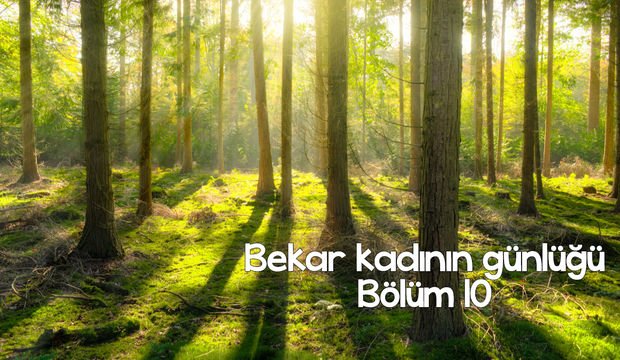 Bekar kadının günlüğü – 10