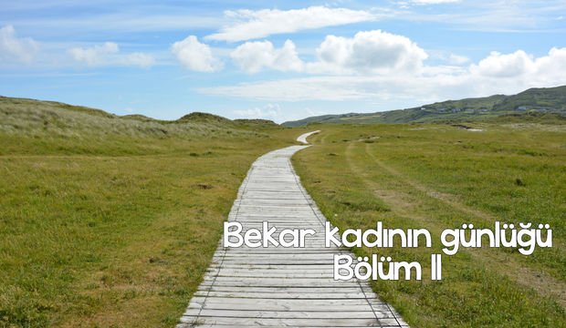 Bekar kadının günlüğü – 11