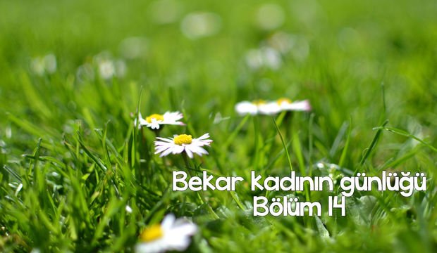 Bekar kadının günlüğü – 14