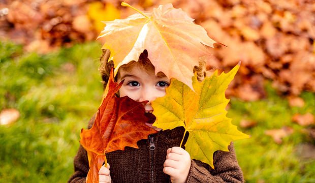 Bağışıklık artıran besinler nelerdir?