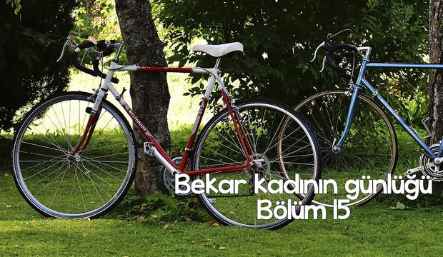 Bekar kadının günlüğü – 15