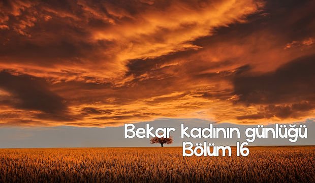 Bekar kadının günlüğü – 16