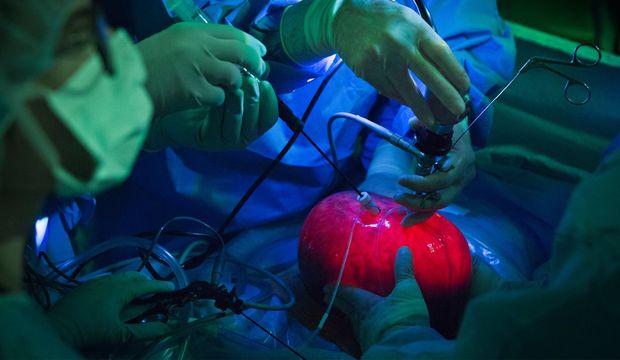 Ana rahminde spina bifida ameliyatı