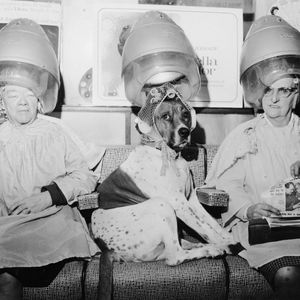 Kuaförün fendi kocaları yendi