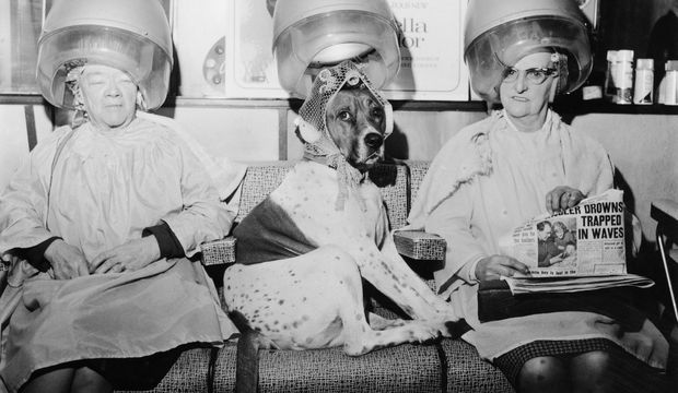 Kuaförün fendi kocaları yendi