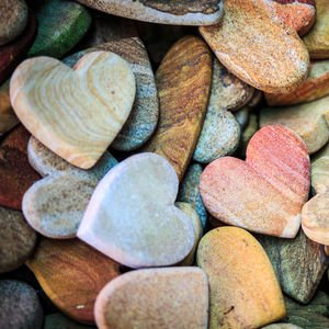 Hoşgörü alçak gönüllülüğün kardeşidir