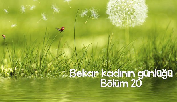 Bekar kadının günlüğü – 20