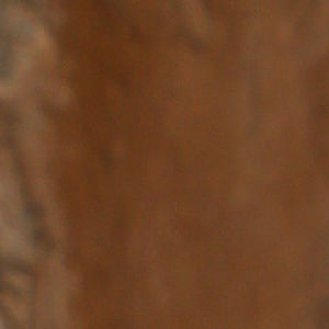 Zehra’nın gebelik günlüğünde 27-28. hafta