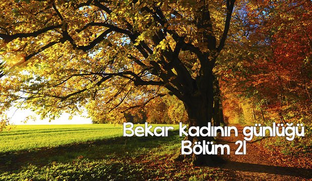 Bekar kadının günlüğü – 21