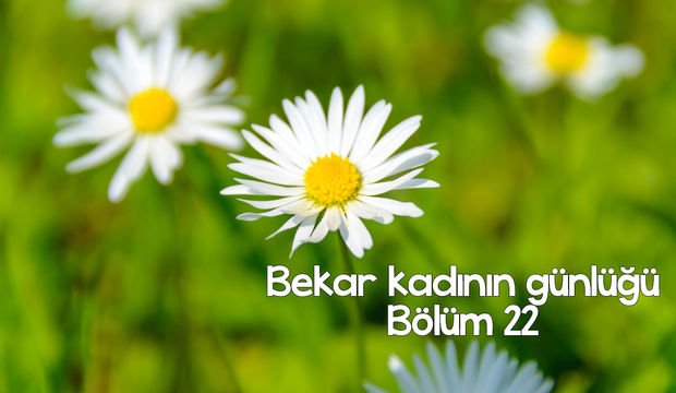 Bekar kadının günlüğü – 22