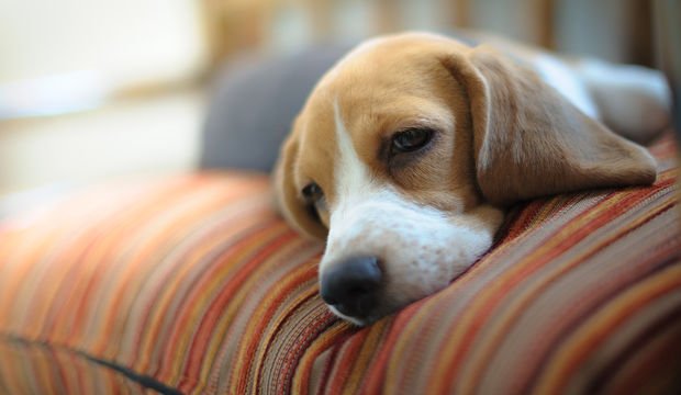 Kış yorgunluğu nasıl atılır?