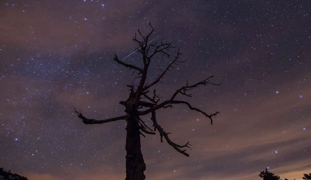 Geminid meteor yağmuru