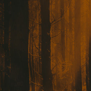 Tuba Ergin sunar: BONA DEA