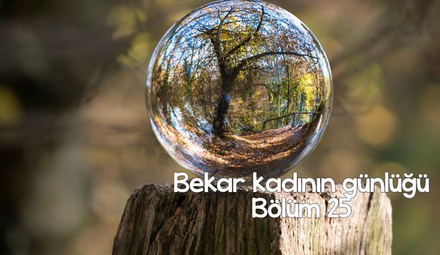 Bekar kadının günlüğü – 25