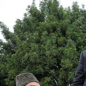 Taze yaşayanlar ve sırları