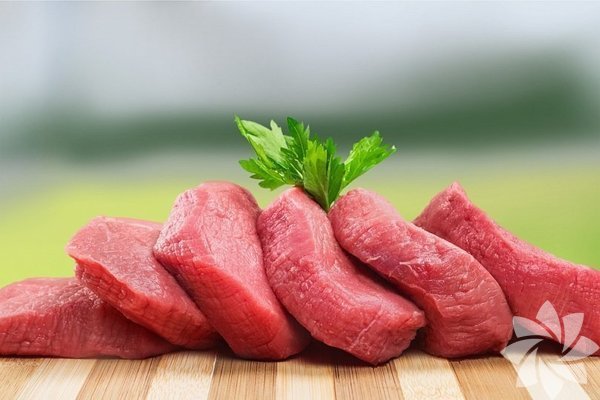 Protein hangi gıdalarda bulunur? Sağlık