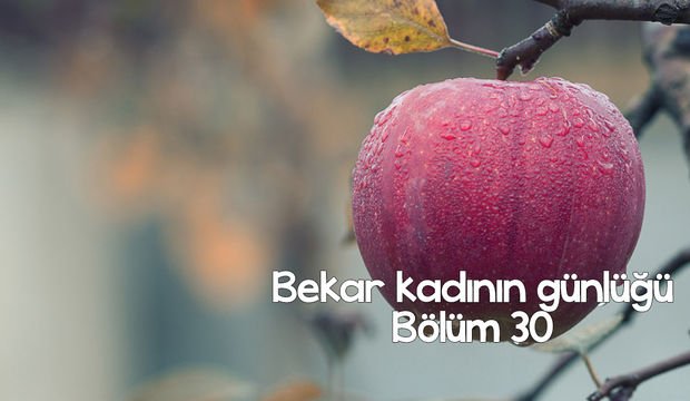 Bekar kadının günlüğü – 30
