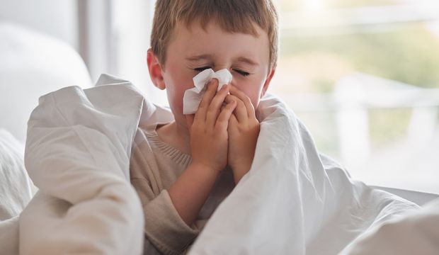 İnfluenza virüsü nedir?