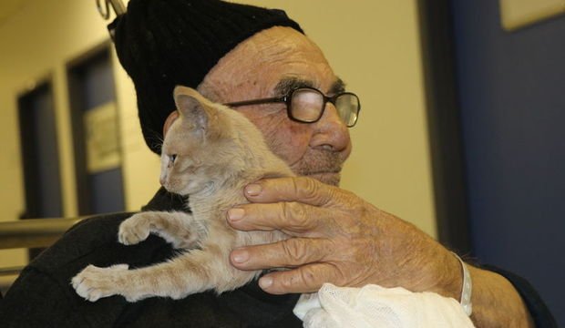 Herkes Ali Dede ve kedisini konuşuyor!