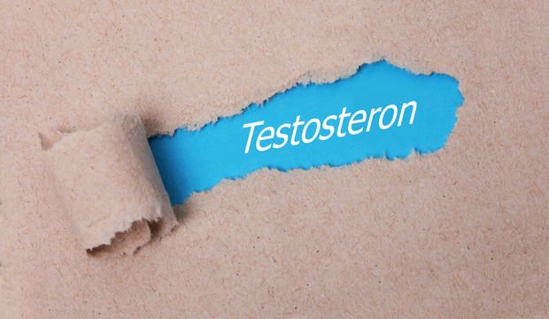 testosteron nedir saglik