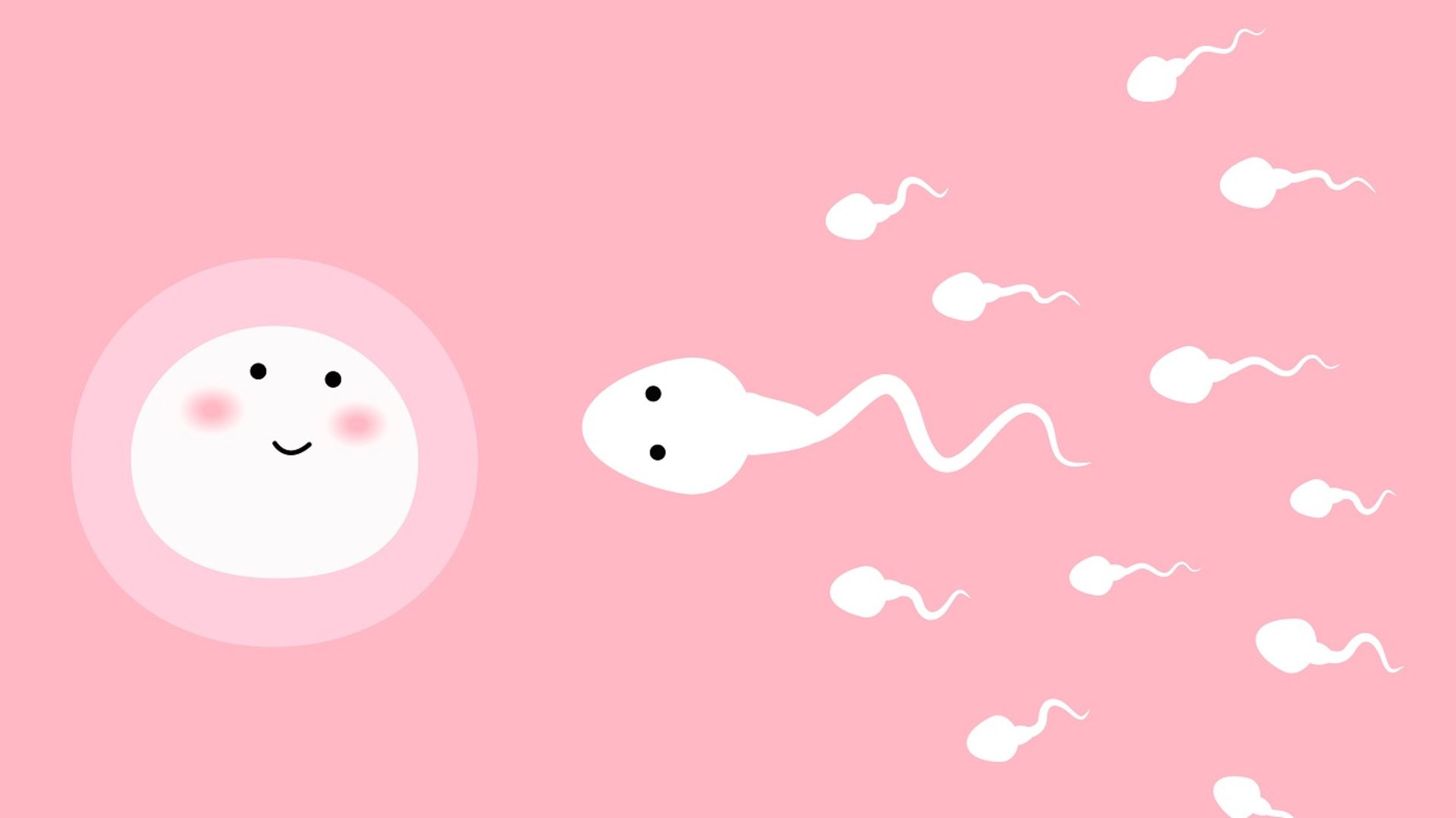 Spermiogram nedir? Sperm testi nasıl yapılır? | Hamilelik
