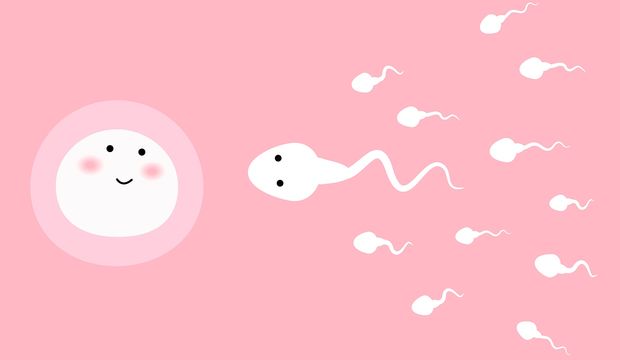 Spermiogram nedir? Sperm testi nasıl yapılır?