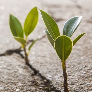 Farkındalık arttıkça hassasiyet de artıyor