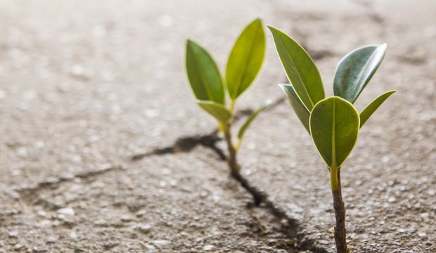 Farkındalık arttıkça hassasiyet de artıyor