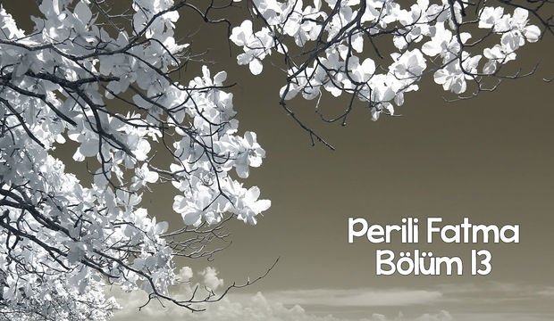 Perili Fatma - 13