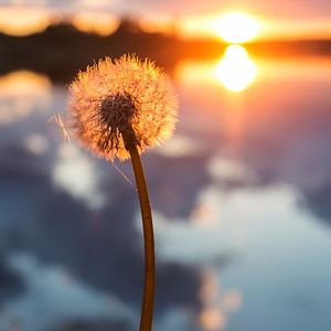 Nedir hayatın anlamı?