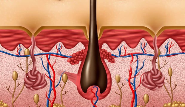 Kıl dönmesinden nasıl kurtulurum?