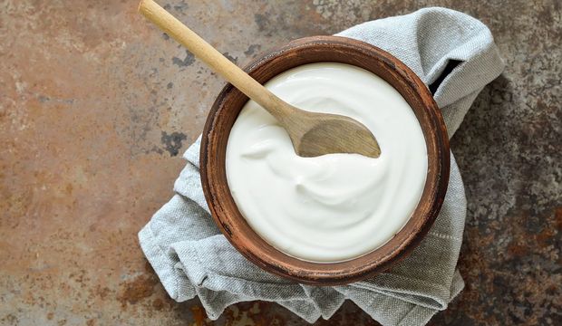 Probiyotikli yoğurt mayası nerede bulunur?