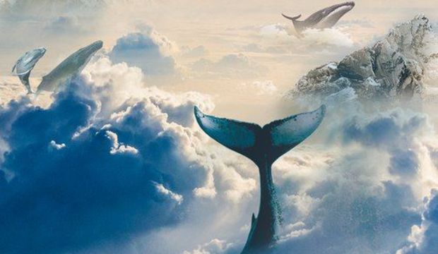 İçle yapılan konuşmalar - 2