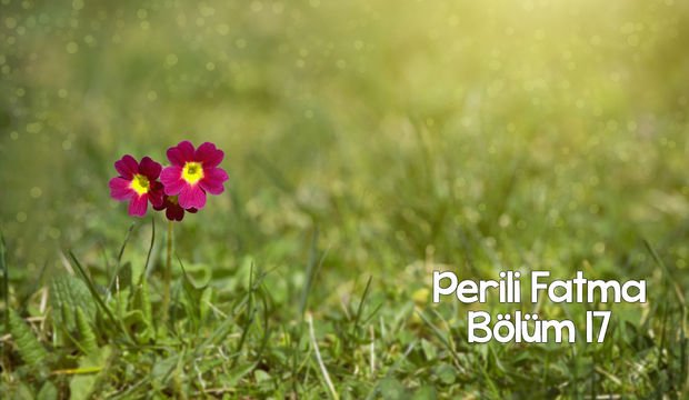 Perili Fatma - 17