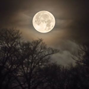 Dolunay burçları nasıl etkileyecek?