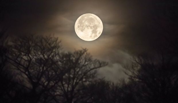 Dolunay burçları nasıl etkileyecek?