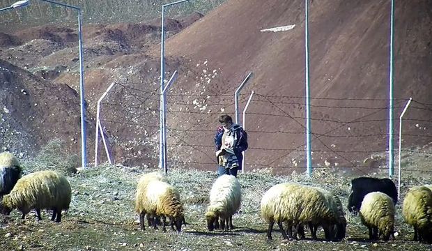 Koyunları otlatırken kitap okudu kalpleri ısıttı