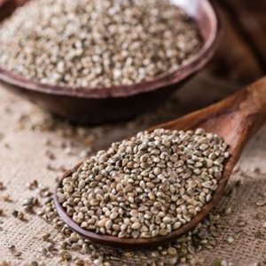 Kenevir tohumunun faydalarını biliyor musunuz?