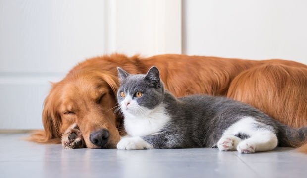 Uykunuz ilişkinizi sabote mi ediyor?