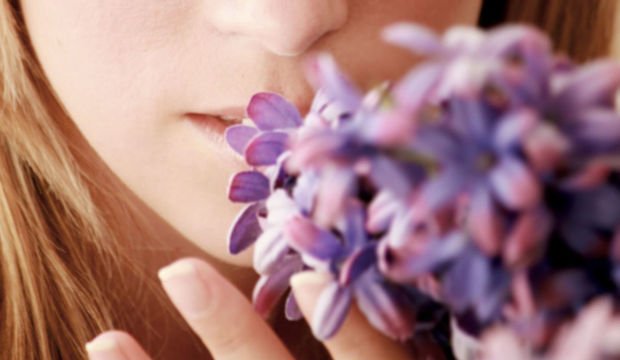 Koku körlüğü nedir?