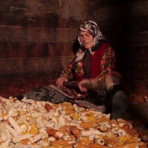 Mısır, kadın ve mücadele filmi "Terin Tohumu"