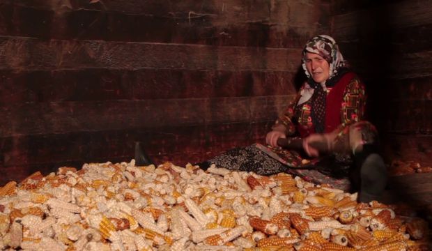 Mısır, kadın ve mücadele filmi "Terin Tohumu"