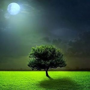 Ey korku krallığının müebbet halkı!