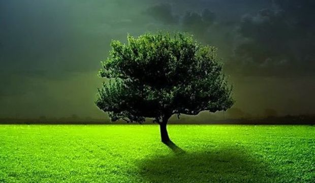 Ey korku krallığının müebbet halkı!