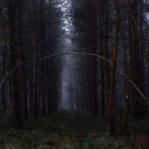 En iyi 10 gerilim filmi 